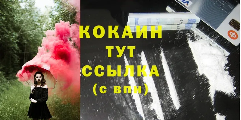 купить закладку  Шатура  Cocaine 98% 